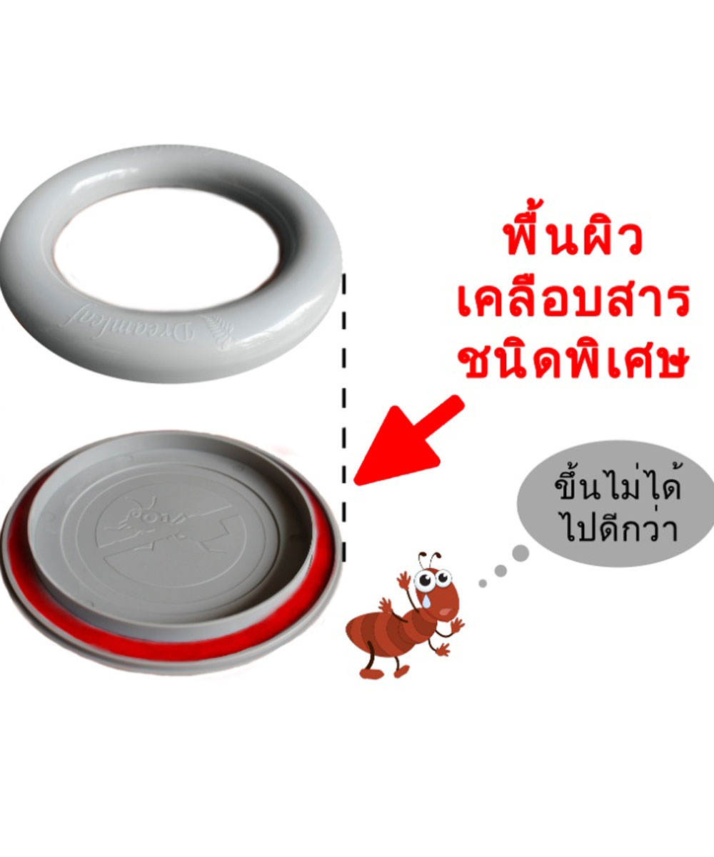 1902331803.jpg